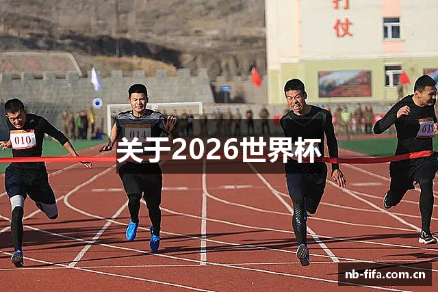 关于2026世界杯